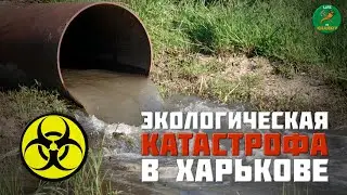 Экологическая катастрофа в Харькове: что с  водой???