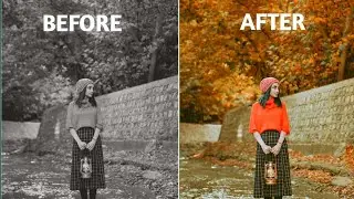 How To Convert Black And White Photo To Colour In Mobile