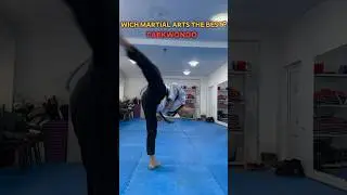 Wich martial arts the best? Taekwondo, Karate, Boxing, MMA. 