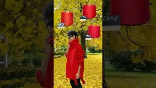 Осень. Пора за пряжей #вяжем #пряжа #вязаниеспицами #мода2024