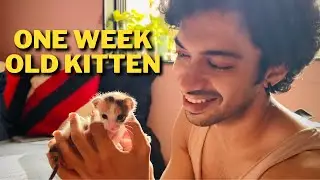 WE RESCUED A ONE WEEK OLD KITTEN 😺