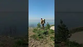 Опрыскивание от клещей