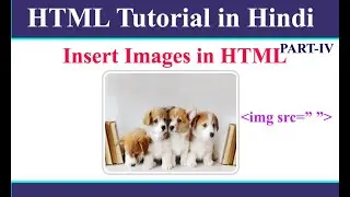 How to Insert Image in HTML | HTML Tutorial In Hindi