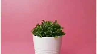 Хватит hackать мой life
