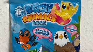Eggy Animals Birds Sammelfigure