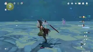Genshin impact