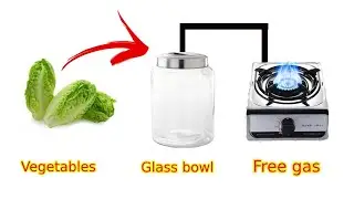 How to use gas from vegetables and animal dung