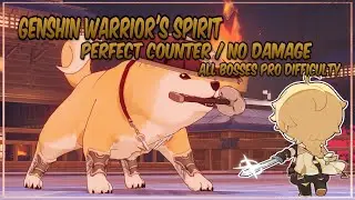 [Genshin Impact] Warrior's Spirit Perfect Counter / No Damage