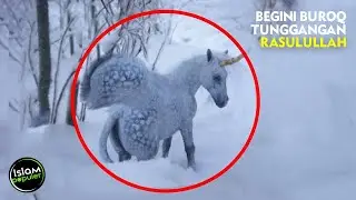 The Cry of Buraq Who Wants to Be the Ride of Allah's Beloved to the Seventh Heaven