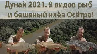 Рыбалка на Дунае 2021, 