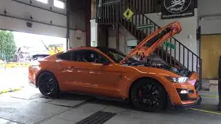 totally stock 2020 gt500 dyno 700whp