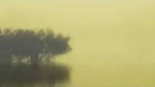 Ambient Music - A Simple Beauty