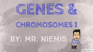 Mr. Niemis' Flipped Lessons - Genes and Chromosomes Part 1