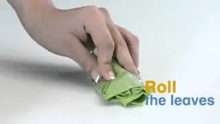 Chiffonade Corr