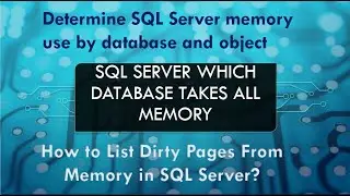 Which SQL Server database taking  all memory ?