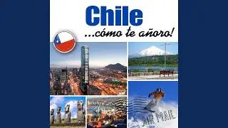 Yo Te Seguiré (Live)