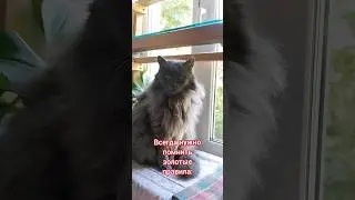 Время такое 😂