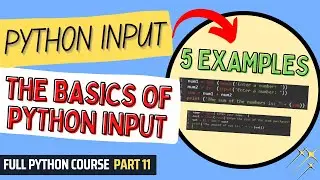 5 Examples of Python Input | Python Course for Beginners & Students | Full Python Course Part 11
