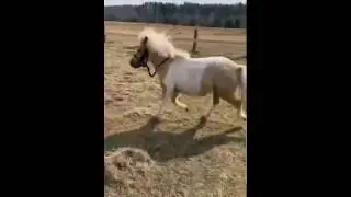 Сгусток Зла )))