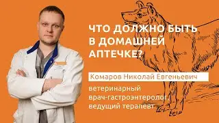 Что должно быть в домашней ветеринарной аптечке?