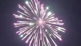 3inç Minori Renkli Papatya Havai Fişek/ Fireworks/Kugelbombe