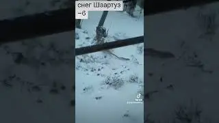 Снег Шаартуз 🌨️🌨️➖6️⃣