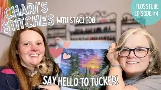 FLOSSTUBE 4 - Chari & Staci's Stitches - Say Hello to Tucker!
