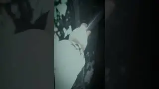 wideo 003