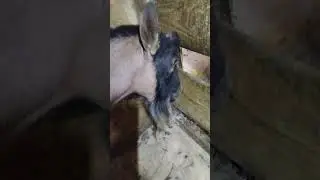 А ВЕДЬ МОГЛА БЫ И С КОФЕ НАЧАТЬ..... НЕ СУДЬБА🤣