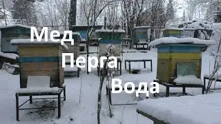 Главное чтобы у пчел весной было все в достатке