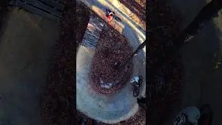 Have you seen the whole trail? 