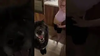 Волкособ Гул'дан и Яна. 