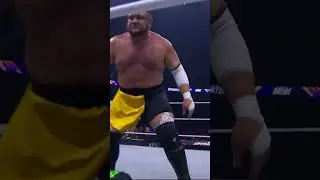 AEW World Champion 