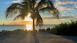 How to Be Successful in Life motivation