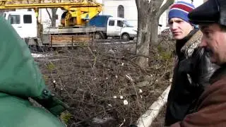 Харьков. В защиту омелы