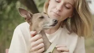 QISU | Hug Harness - El arnés que cuida de la salud de tu perro