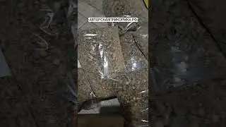 Эта прикормка косит всю рыбу! Прикормка для рыбалки на карася, карпа и леща и всю рыбу! #рыбалка
