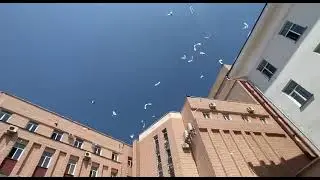 video 2022 05 19 10 36 25
