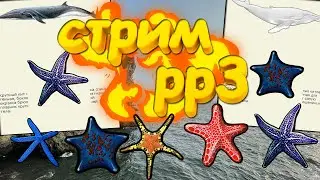 РР3 СТРИМ Половим Фина