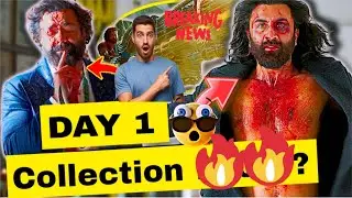 Animal Box Office Collection | Animal First Day Box Office Collection, Animal Box Office, Ranbir