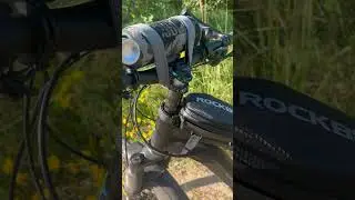 Мои дорогие