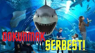 DANİMARKA’NIN ÜNLÜ AKVARYUMU 🦈 YILANLARA DOKUNMAK SERBEST !