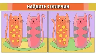 Найдите 3 отличия. Котики.
