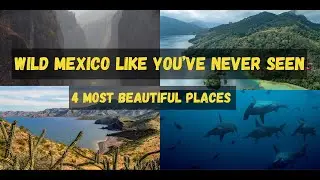 The 4 MOST Beautiful Places in Mexico (hands down)
