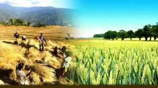 Food Security