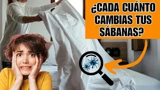 ¿CADA CUÁNTO CAMBIAS TUS SÁBANAS? - ¡Te sorprenderá la respuesta!