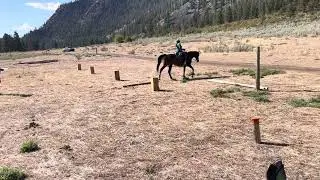 “Drag Serpentine” obstacle, Level 3