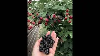 Что хорошего в июле