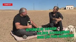 SMALL ANIMAL BREEDING IN BOĞAZLIYAN I THE SHEPHERD'S WAY