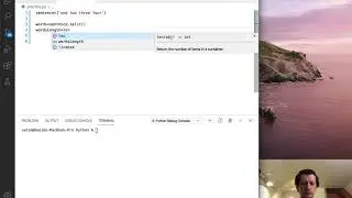 Python count letters in words